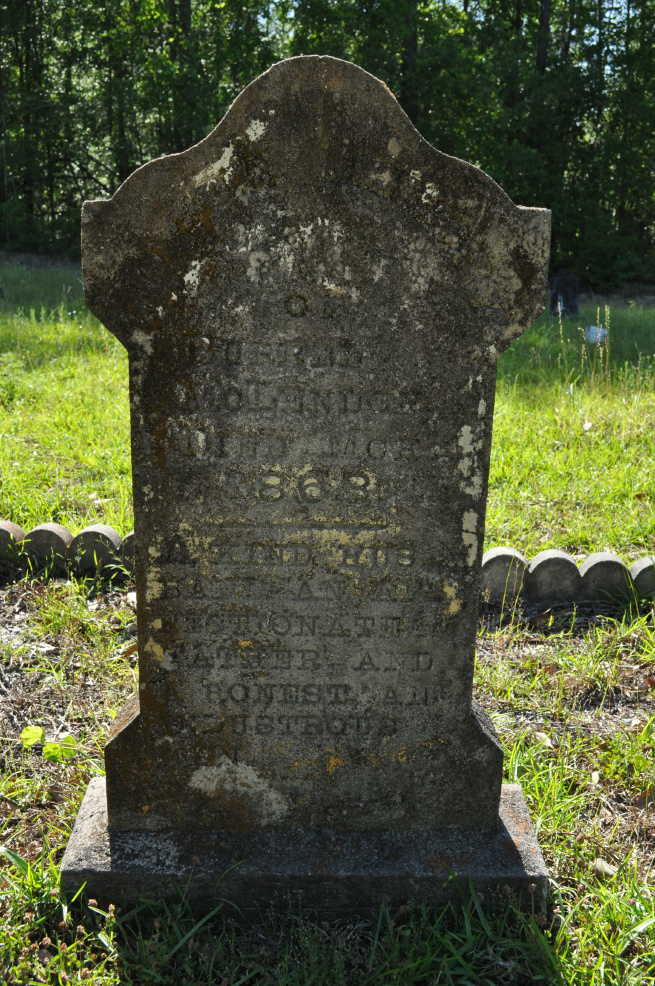 Photo of headstones/Burwell McLendon d1863 hdsn Dublin Laurens Co Georgia